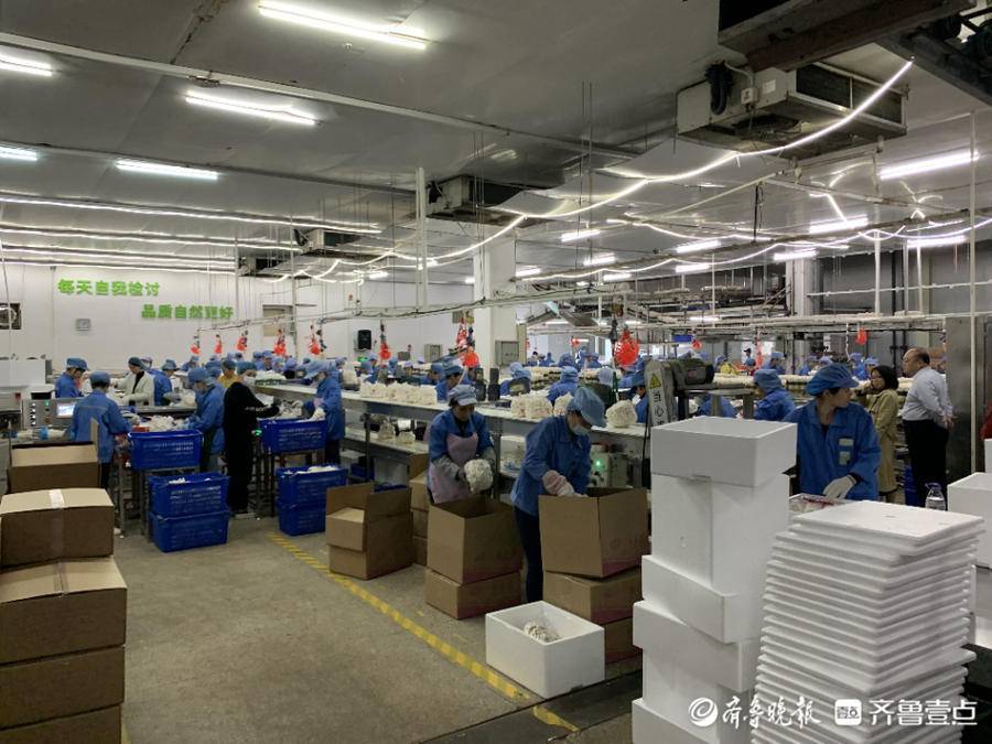 聊城市农科院赴广东考察食用菌工厂化生产企业
